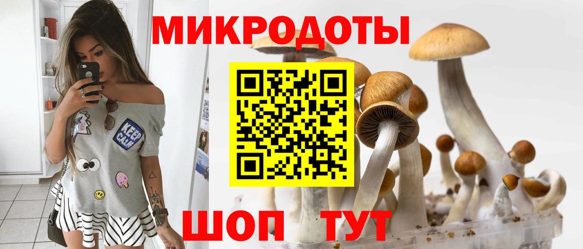 Псилоцибиновые грибы прущие грибы  Вход с VPN  Псилоцибиновые грибы мухоморы  купить наркоту  Клин 